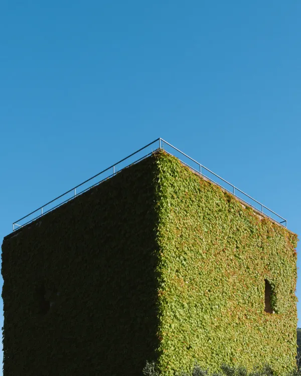 Photos by Josh Withers of Tasmania, Australia.