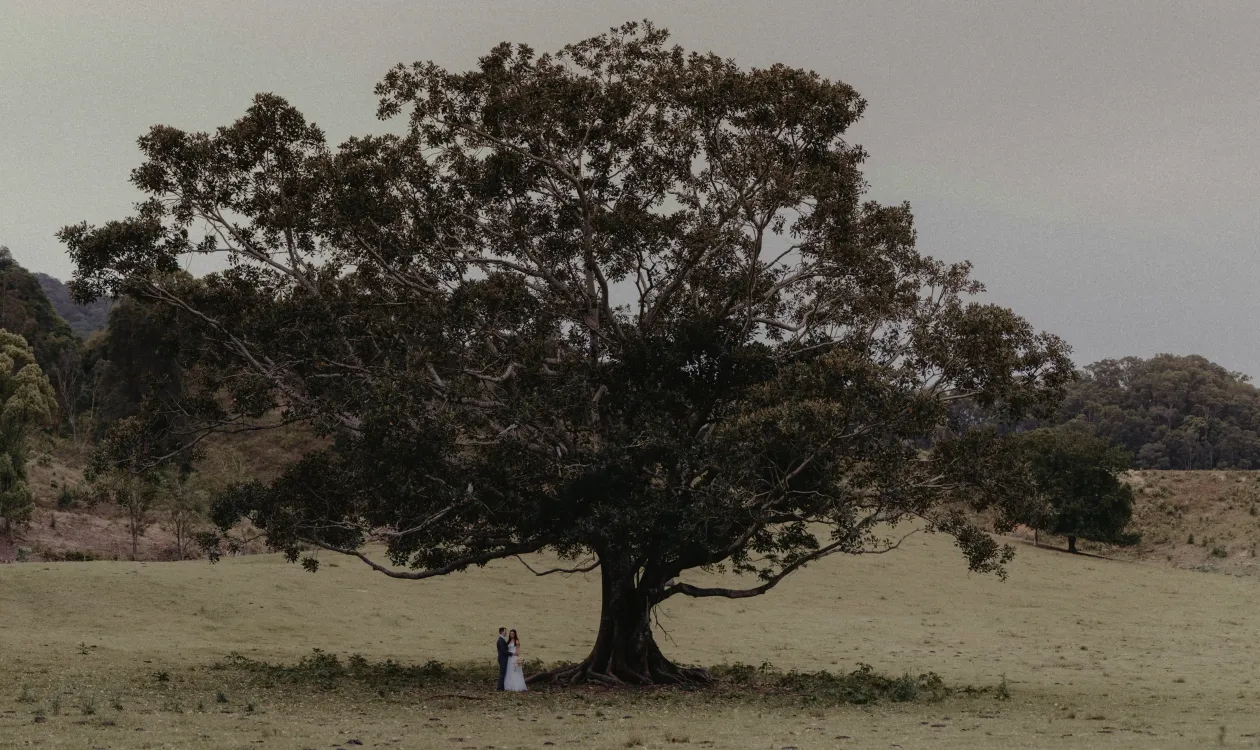 Photos by Josh Withers of Tasmania, Australia.
