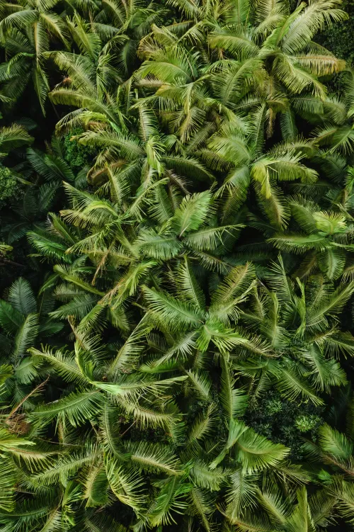 Photos by Josh Withers of Tasmania, Australia.