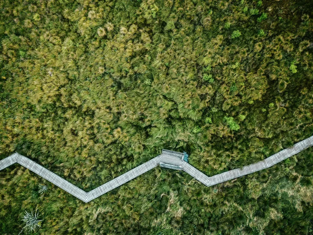 Photos by Josh Withers of Tasmania, Australia.