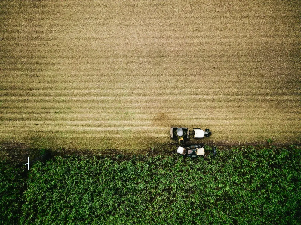 Photos by Josh Withers of Tasmania, Australia.