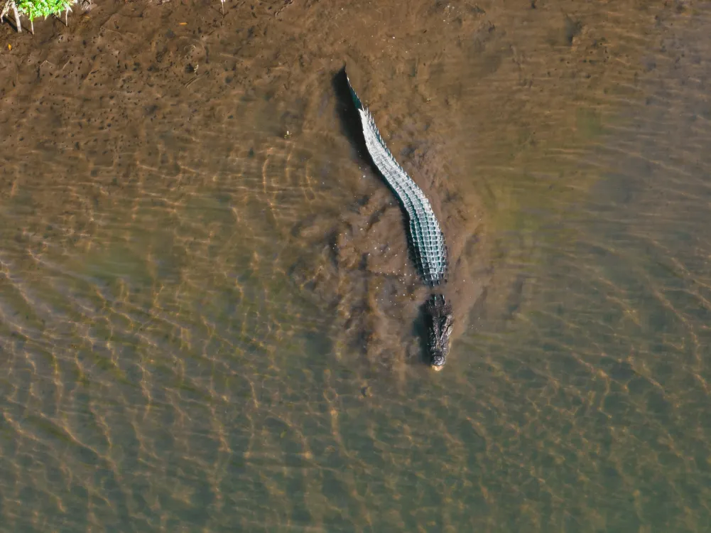 Photos by Josh Withers of Tasmania, Australia.