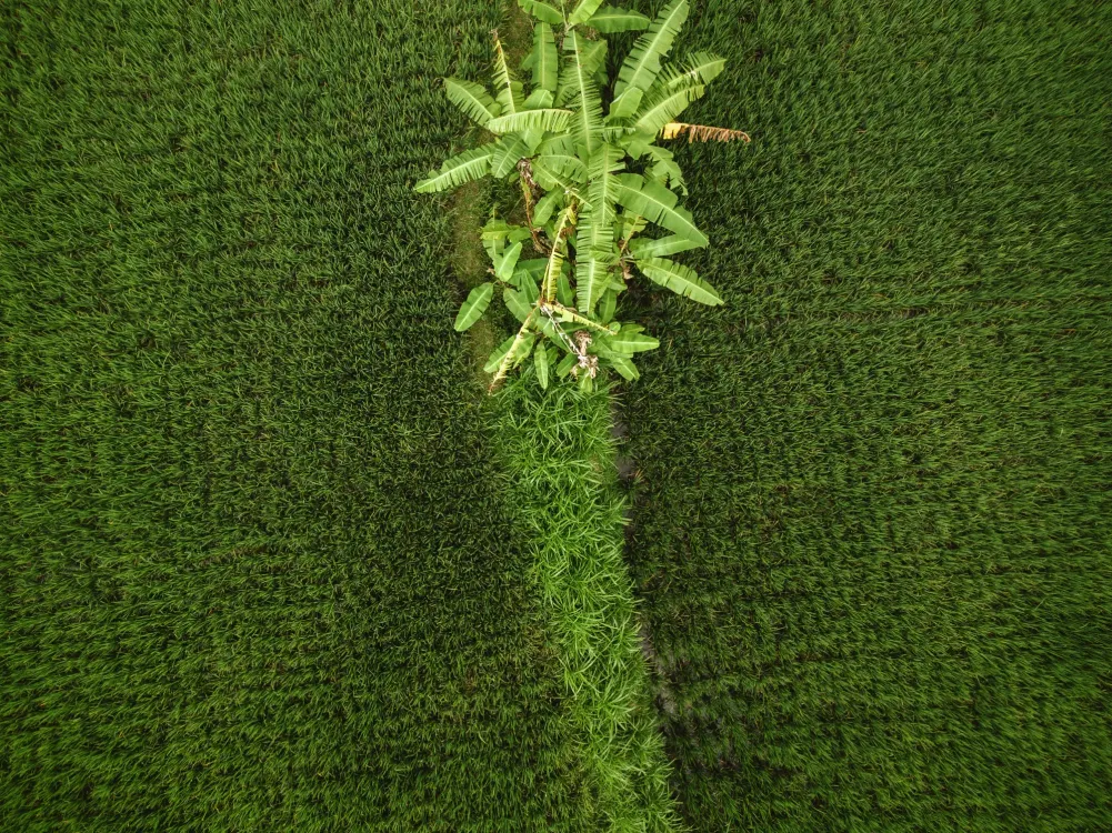 Photos by Josh Withers of Tasmania, Australia.