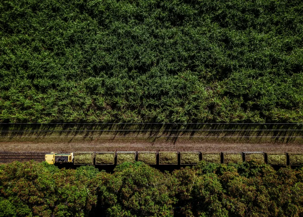 Photos by Josh Withers of Tasmania, Australia.