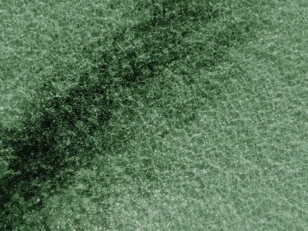 Photos by Josh Withers of Tasmania, Australia.