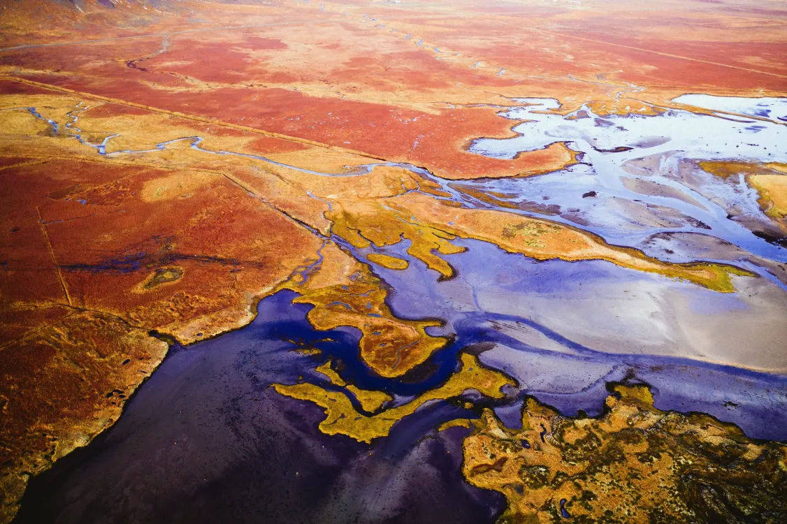 Photos by Josh Withers of Tasmania, Australia.