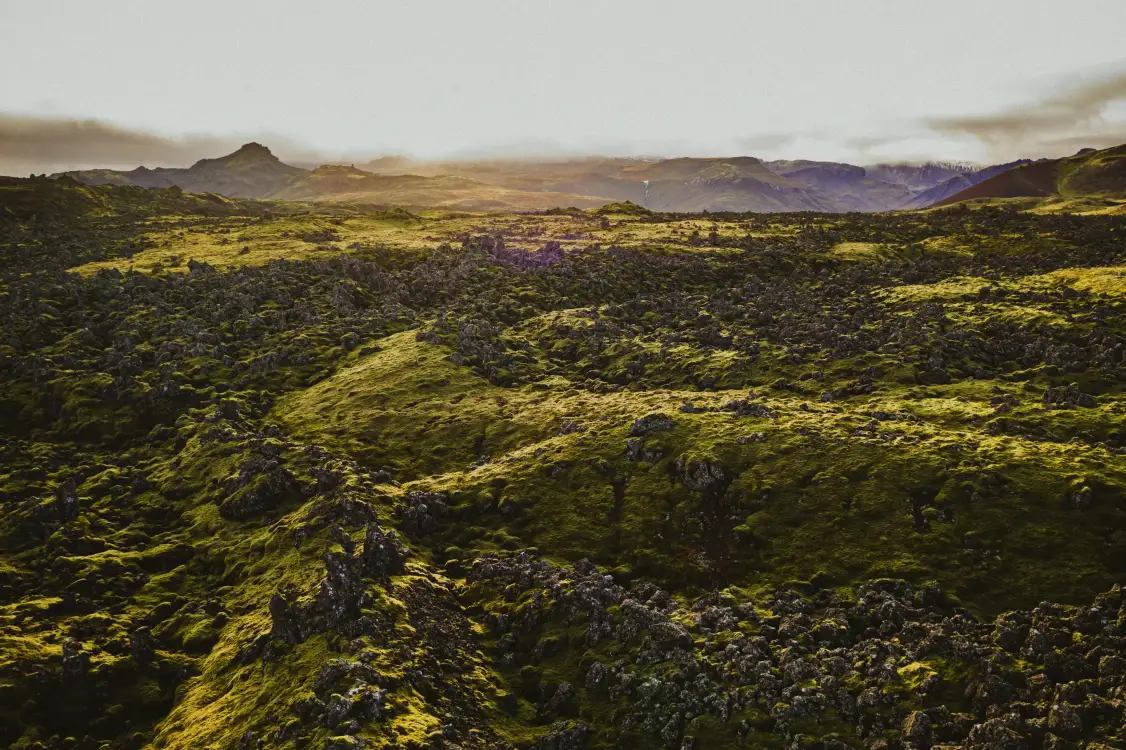 Photos by Josh Withers of Tasmania, Australia.