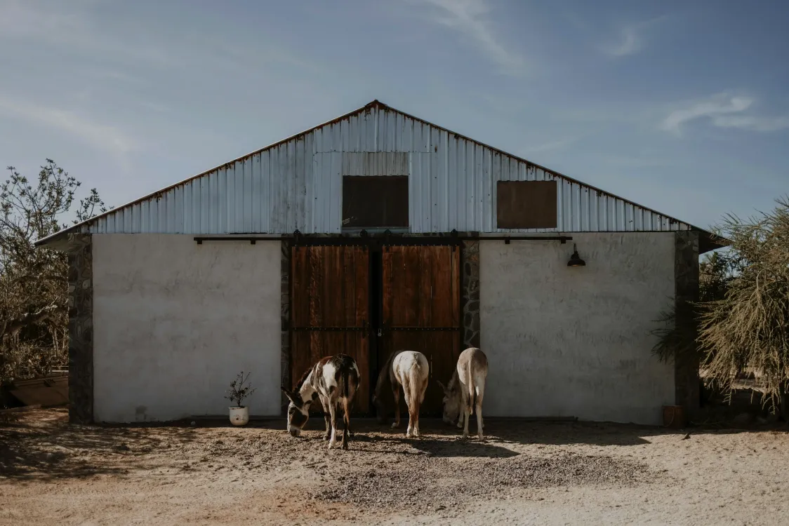 Photos by Josh Withers of Tasmania, Australia.
