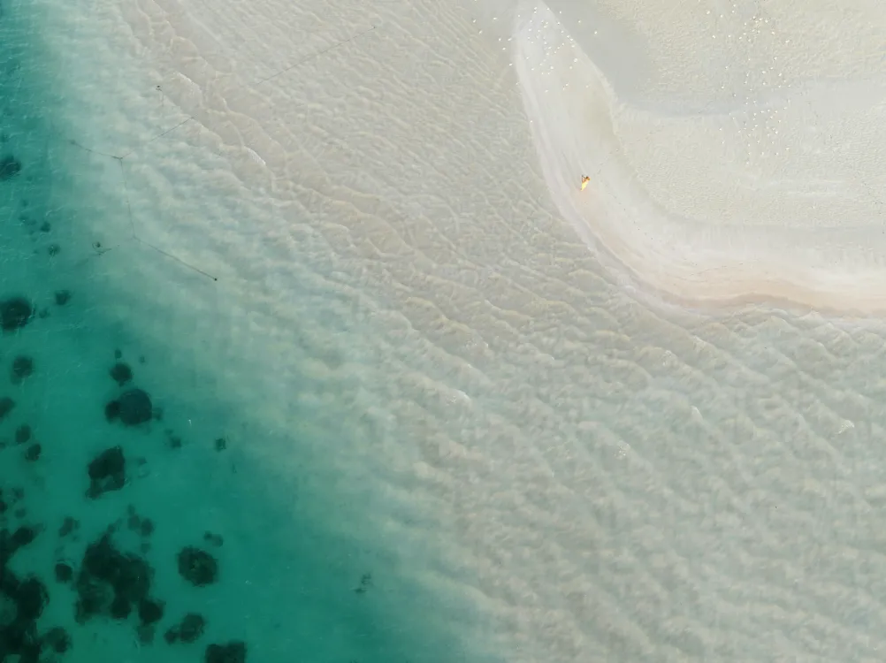 Photos by Josh Withers of Tasmania, Australia.