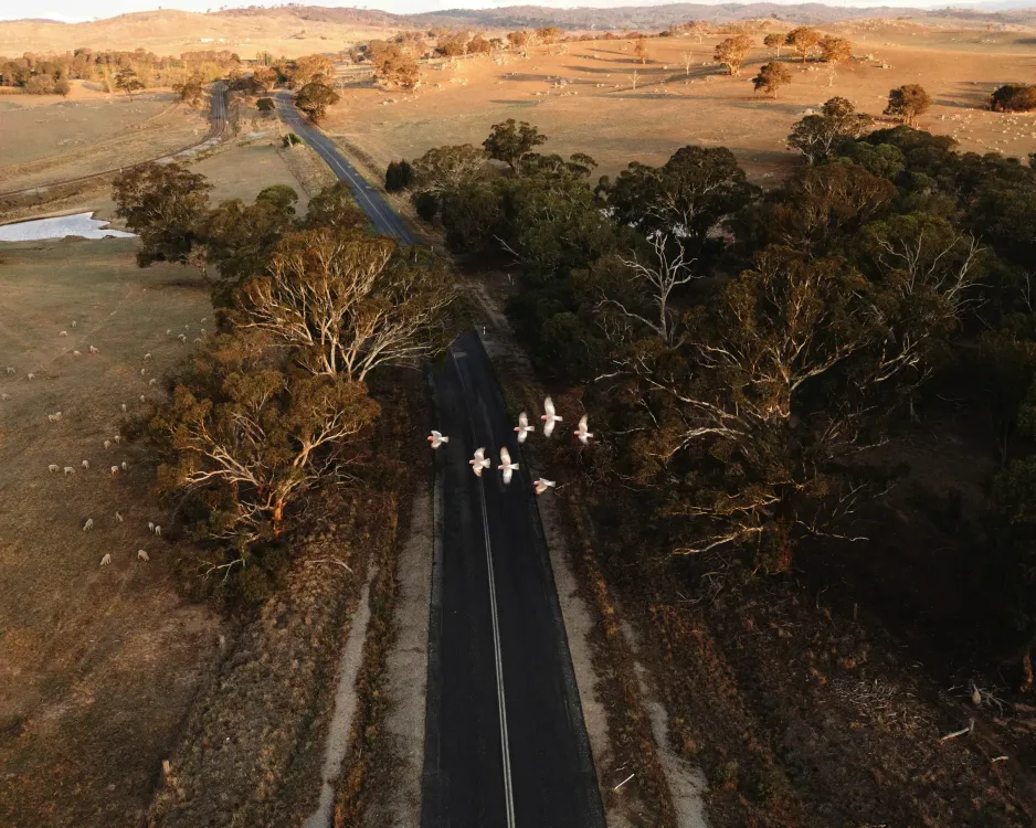 Photos by Josh Withers of Tasmania, Australia.