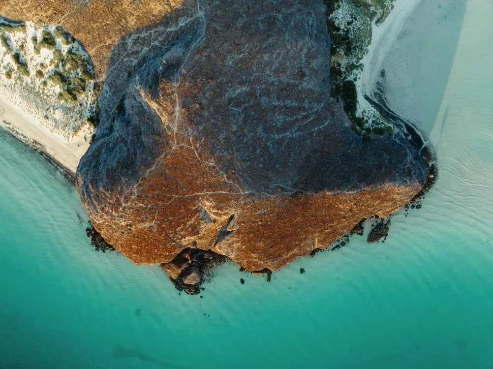 Photos by Josh Withers of Tasmania, Australia.