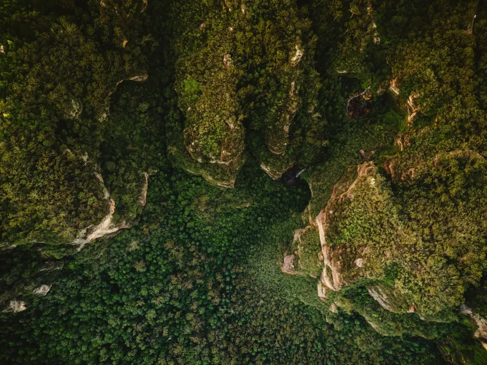 Photos by Josh Withers of Tasmania, Australia.