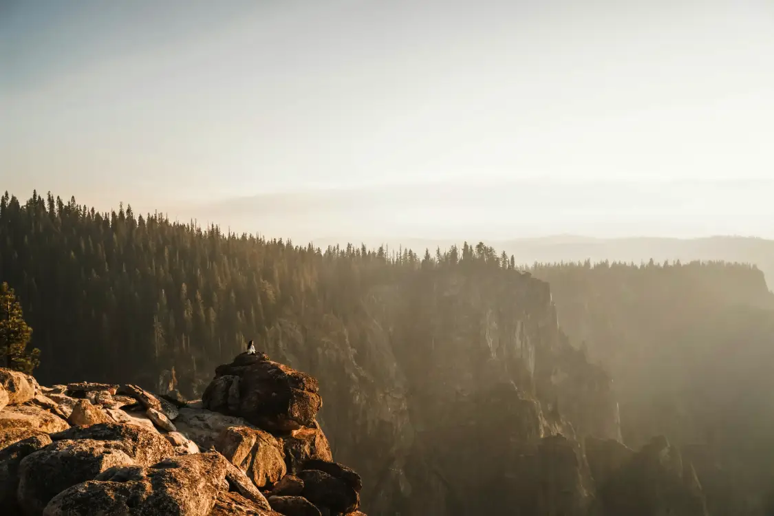 Photos by Josh Withers of Tasmania, Australia.