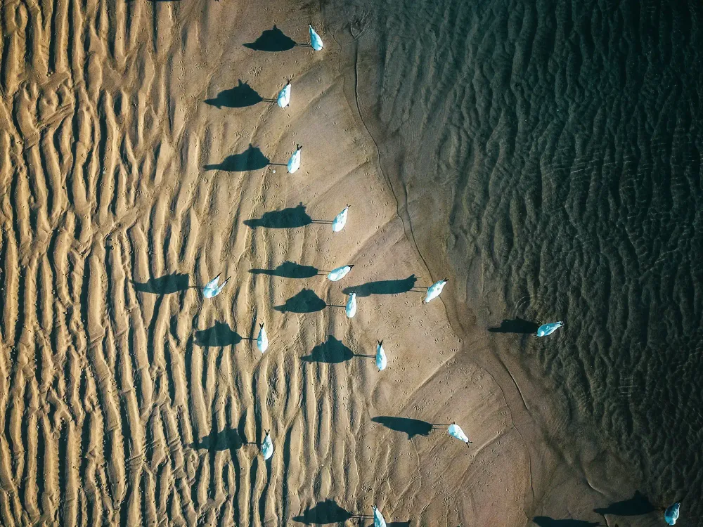 Photos by Josh Withers of Tasmania, Australia.