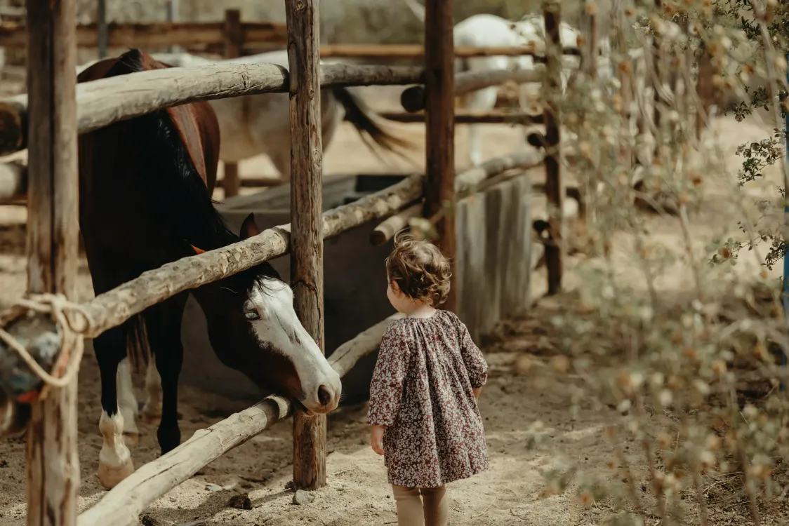 Photos by Josh Withers of Tasmania, Australia.