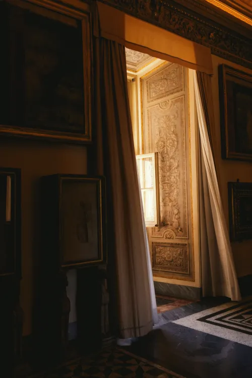 Photos by Josh Withers of Tasmania, Australia.