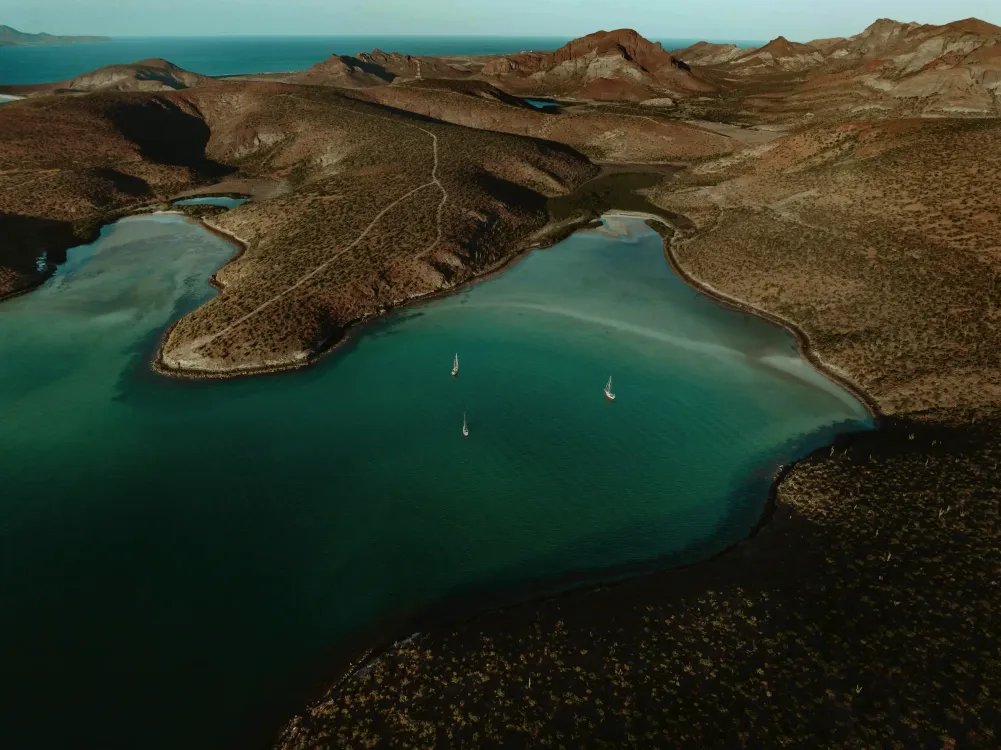 Photos by Josh Withers of Tasmania, Australia.