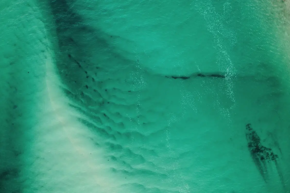 Photos by Josh Withers of Tasmania, Australia.