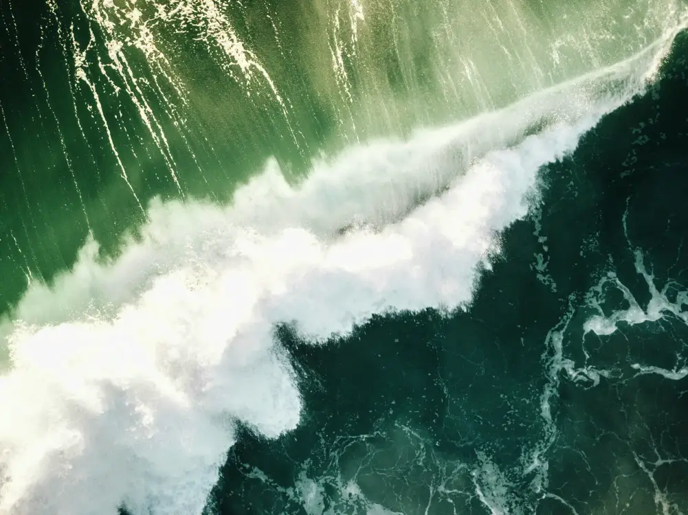 Photos by Josh Withers of Tasmania, Australia.