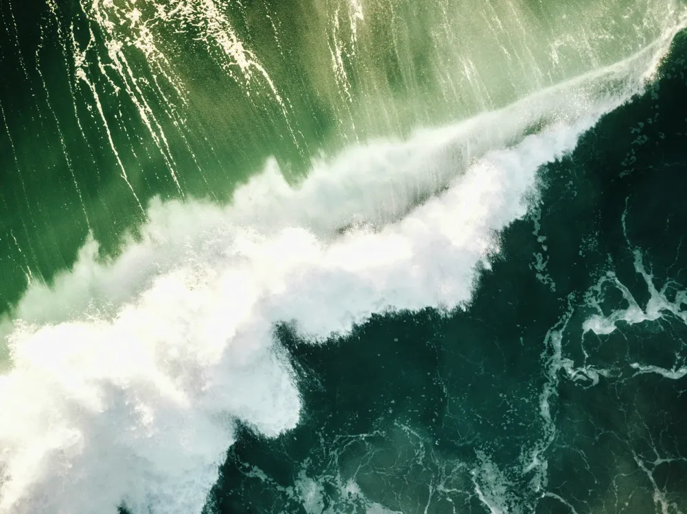 Photos by Josh Withers of Tasmania, Australia.