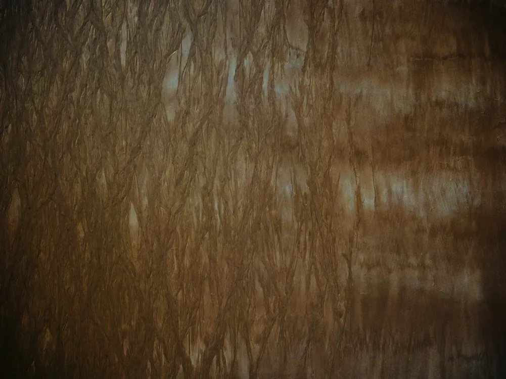 Photos by Josh Withers of Tasmania, Australia.