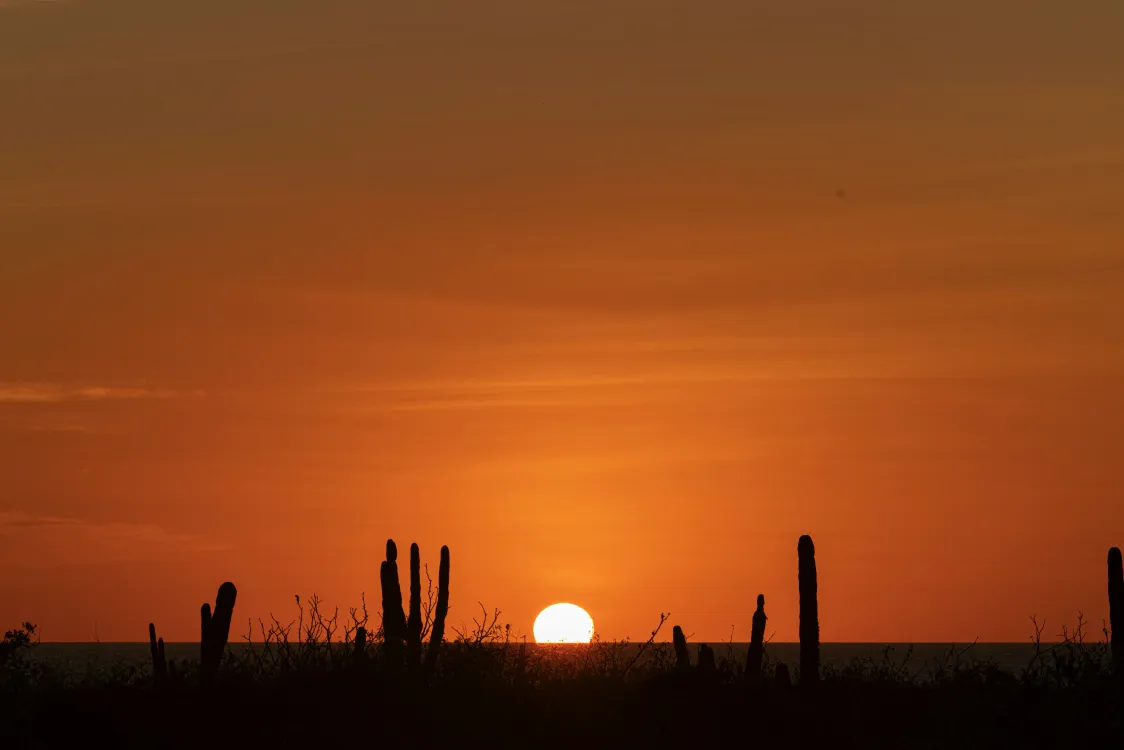 Photos by Josh Withers of Tasmania, Australia.