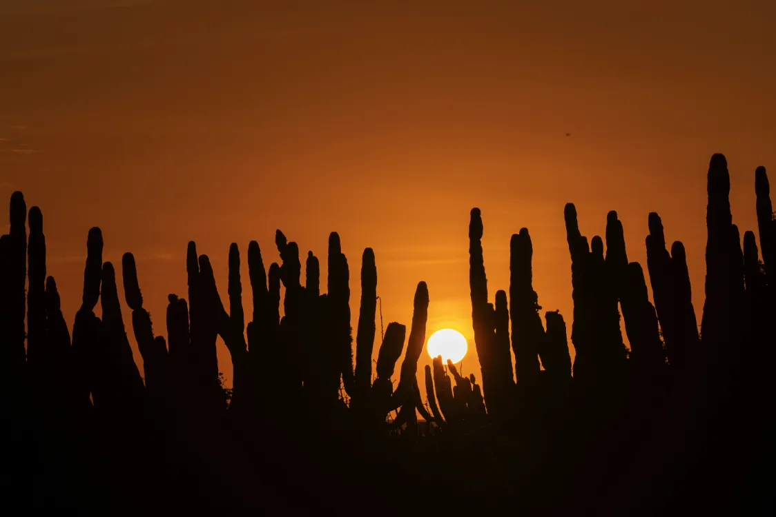 Photos by Josh Withers of Tasmania, Australia.